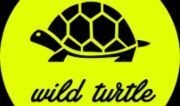 WILD TURTLE