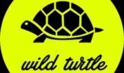 wildTurtle